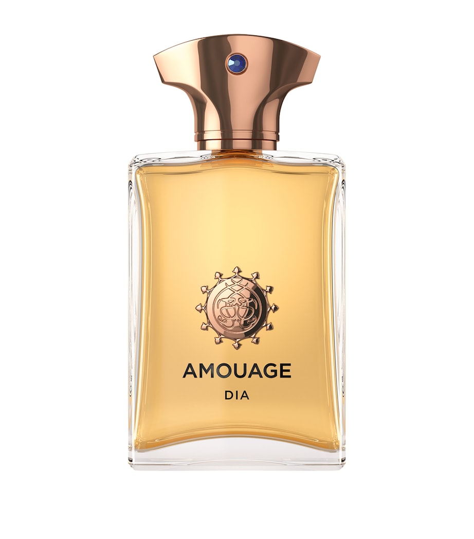 Dia Man Eau de Parfum (100ml) NO COLOUR Image 1