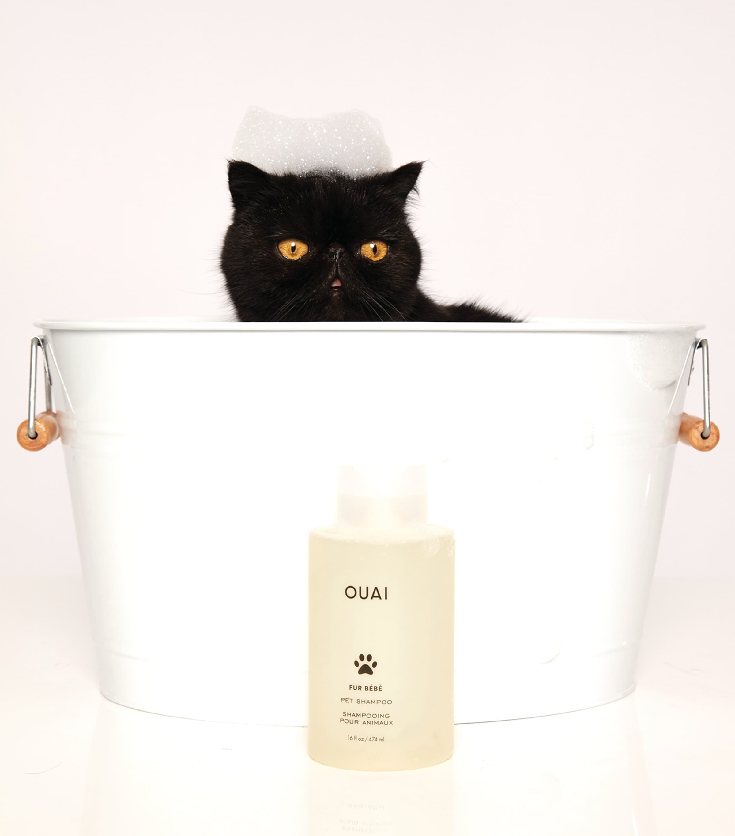 Ouai Fur Bébé Pet Shampoo (474ml) Image 4
