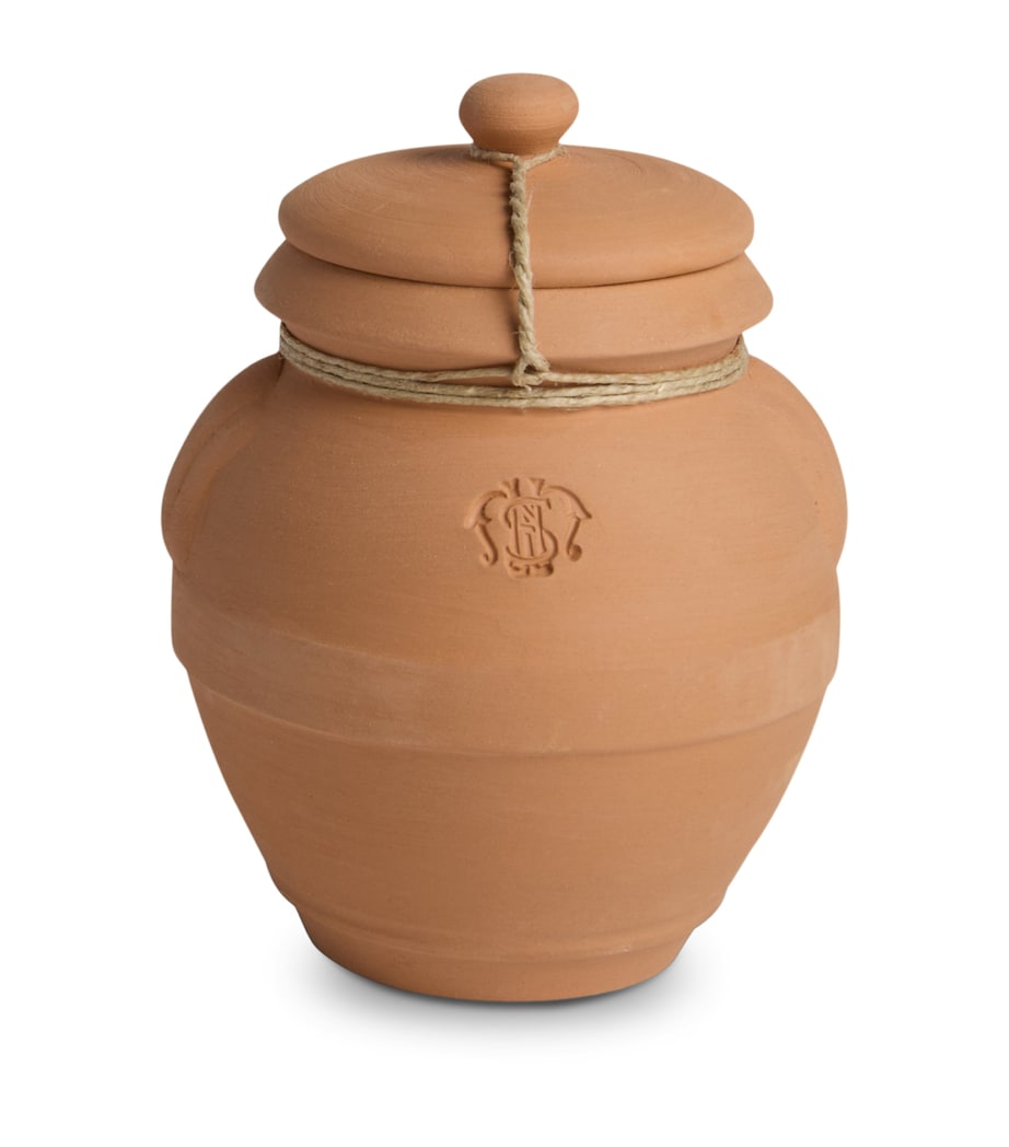 Pot Pourri Terracotta Jar (70g) NO COLOUR Image 1