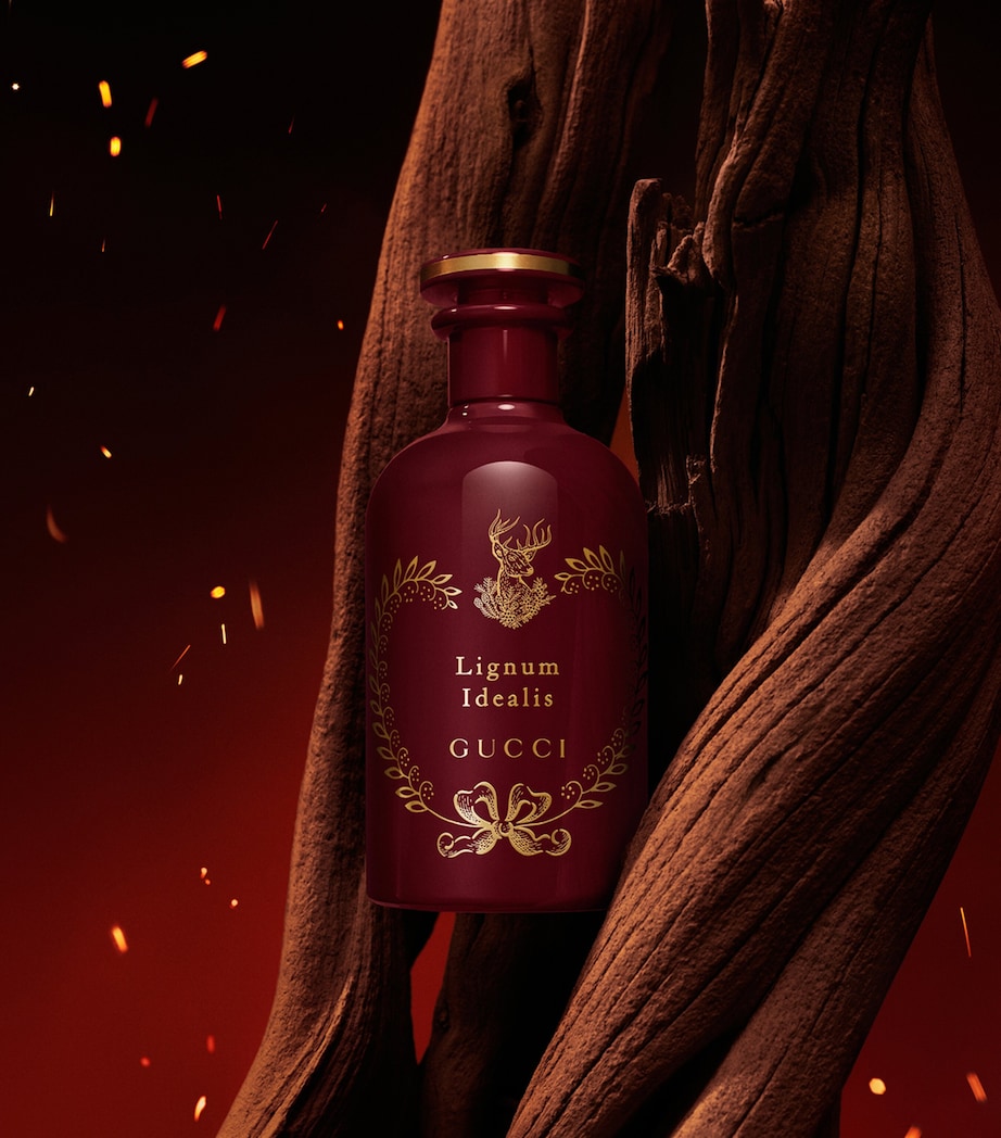 The Alchemist’s Garden Lignum Idealis Eau de Parfum (100ml) NO COLOUR Image 3