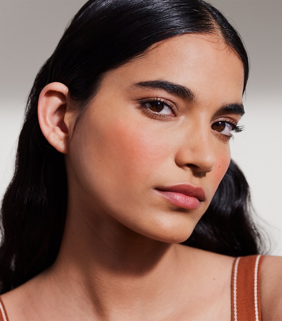 Rose Hermès Silky Blush Powder 23 ROSE BLUSH Image 5