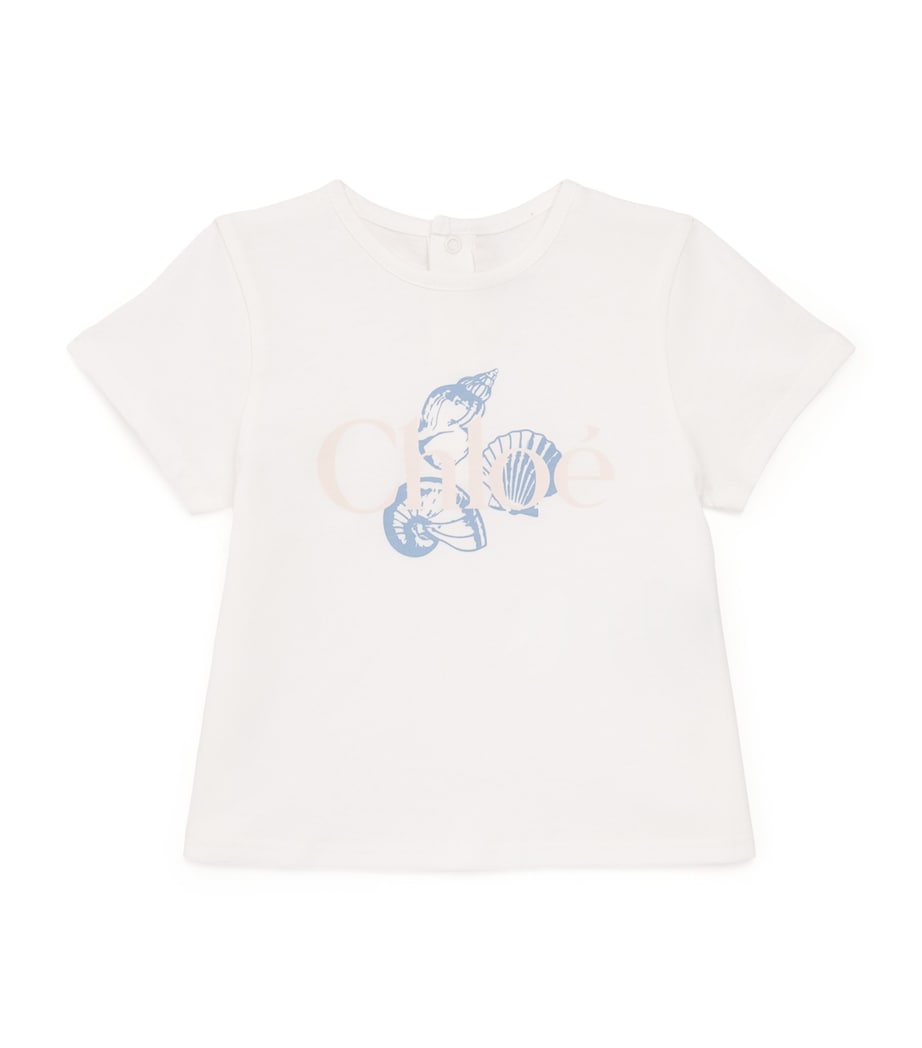 Cotton Shell Logo T-Shirt (6-36 Months) C20912/117OFFWHITE Image 1