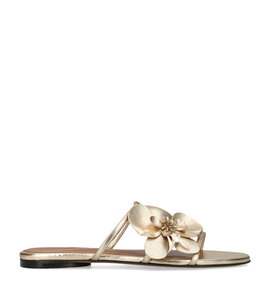Zimmermann Leather Orchid Slides Gold Image 1