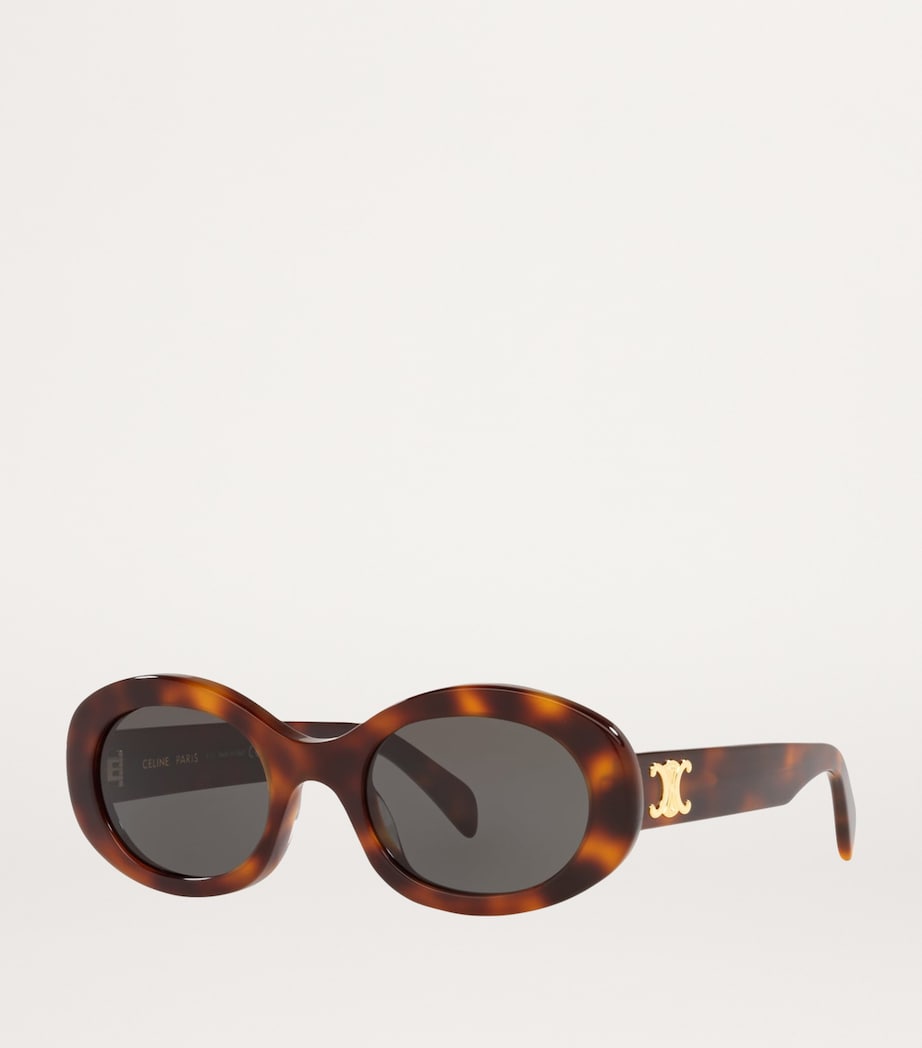 Celine Acetate 0CL000312 Sunglasses Image 2