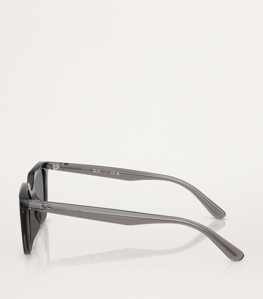 RB4439D Sunglasses 667587 Image 3
