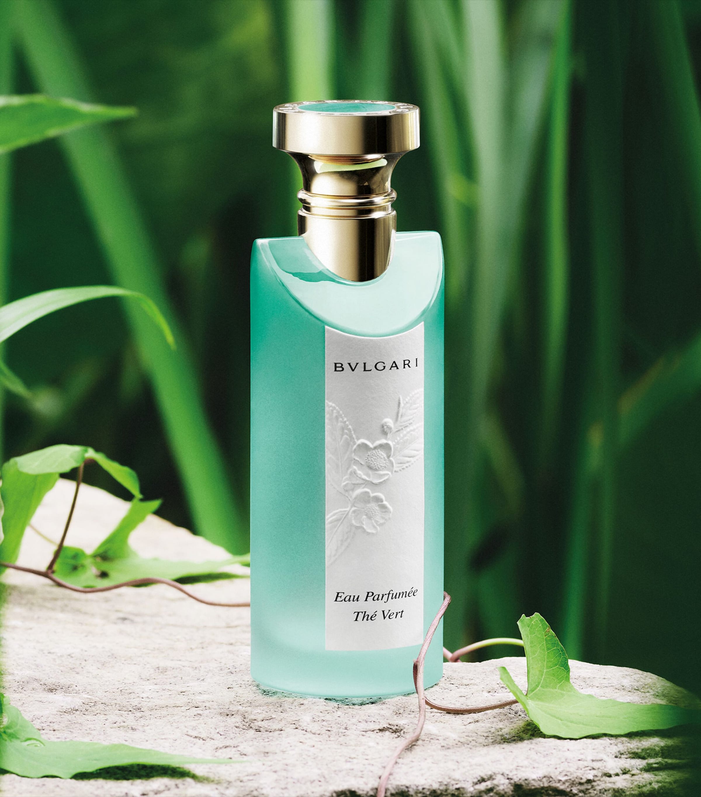 BVLGARI Eau Parfumée au thé vert 75ml Bvlgari Perfume Eau Parfumee Au The Vert Woda Perfumowana