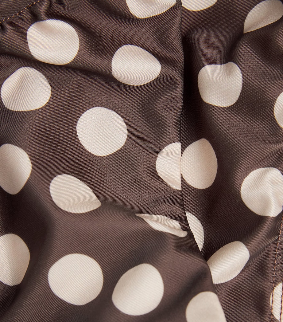 FAITHFULL Womens Andez Polka-Dot Bikini Bottoms Cioccolato Dot Image 4