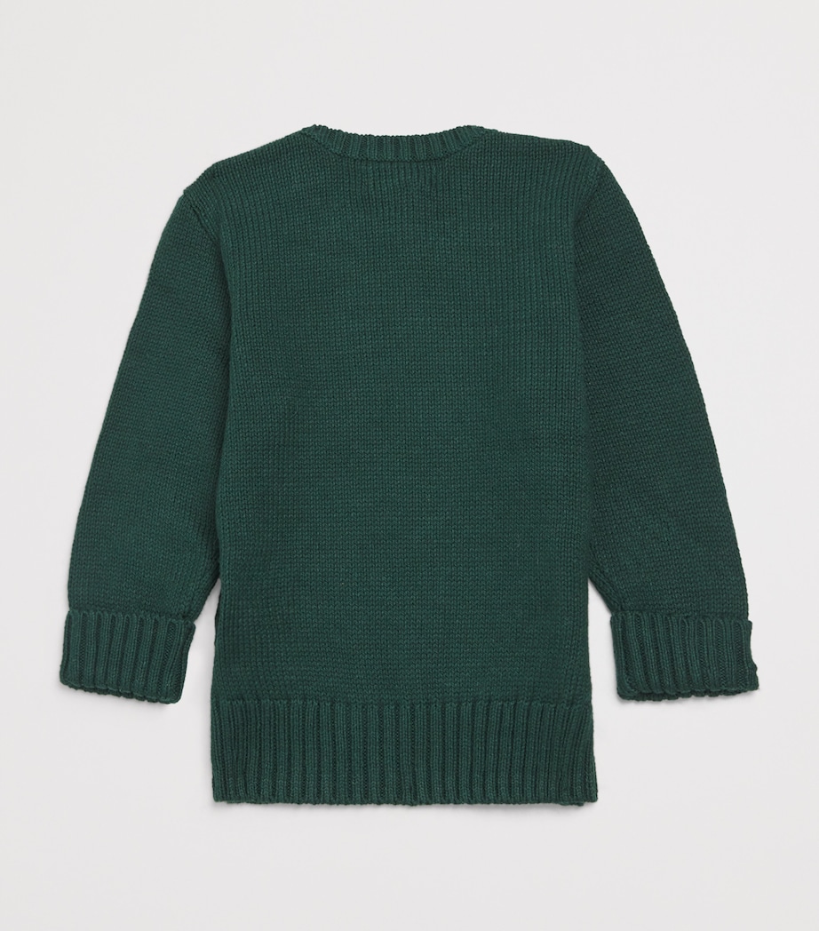 Cotton Polo Bear Sweater (3-24 Months) GREEN Image 2