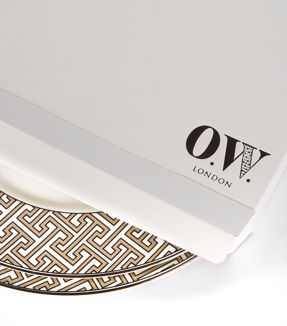 Set of 2 Maze Dinner Plates (26cm) TRUFFLE Image 4