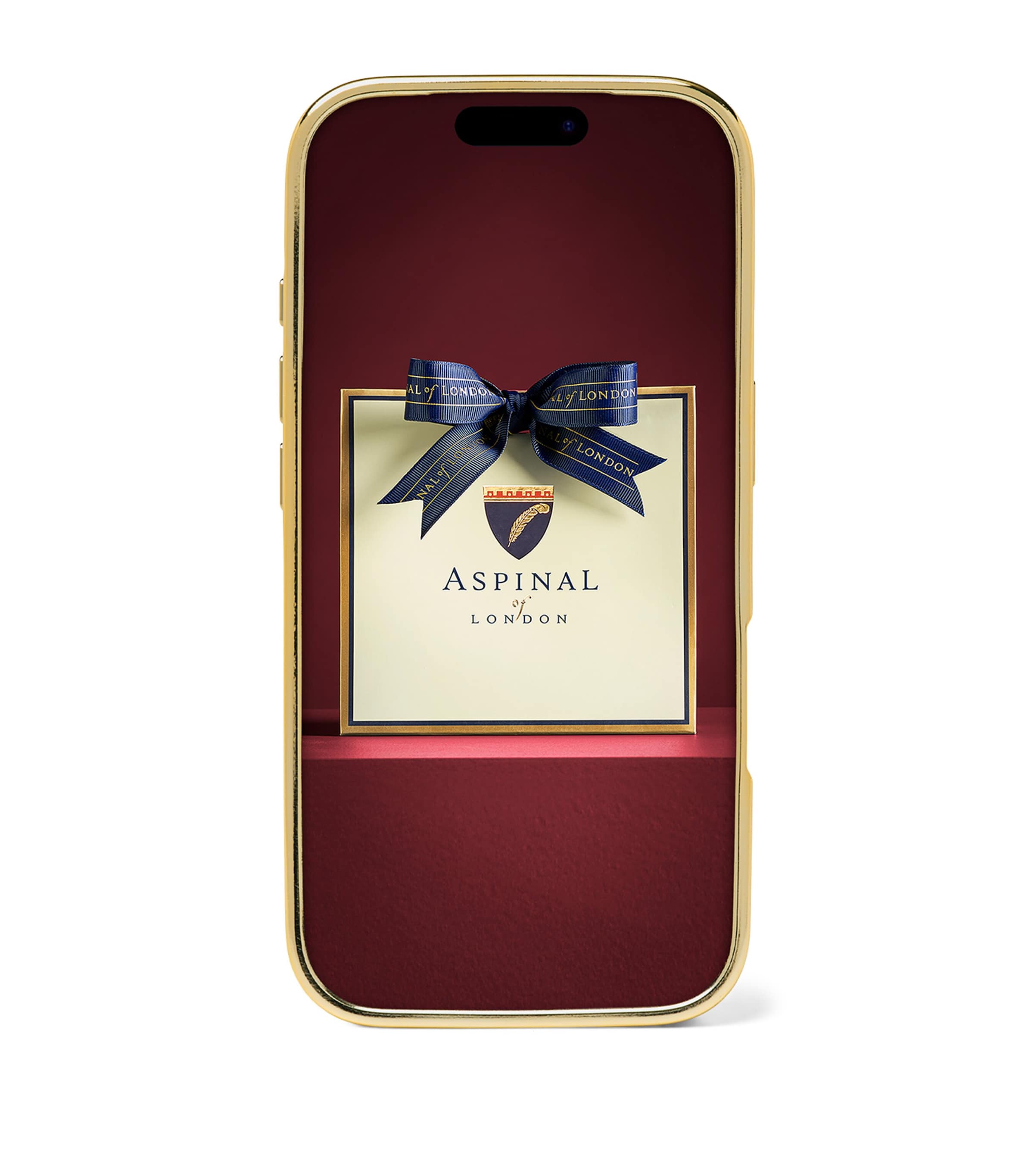 Aspinal Of London Leather iPhone 17 Pro Case Caramel Image 2