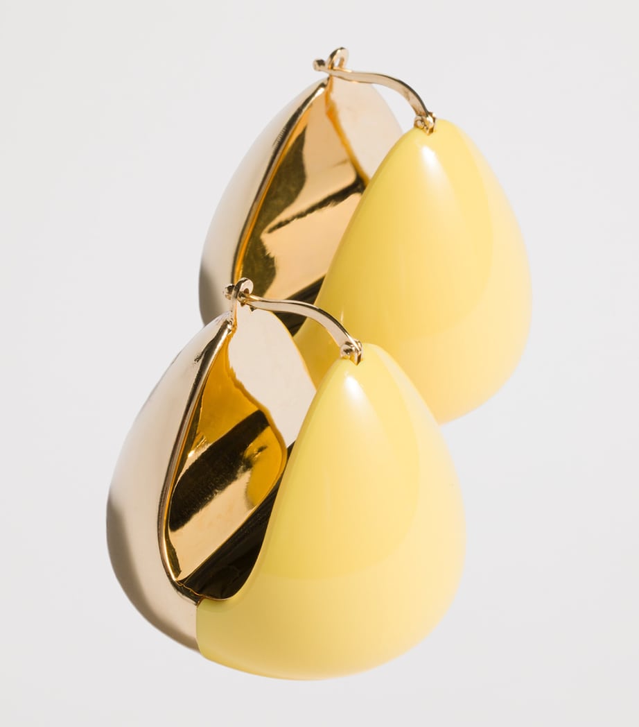 Enamelled Earrings F0010 Image 2