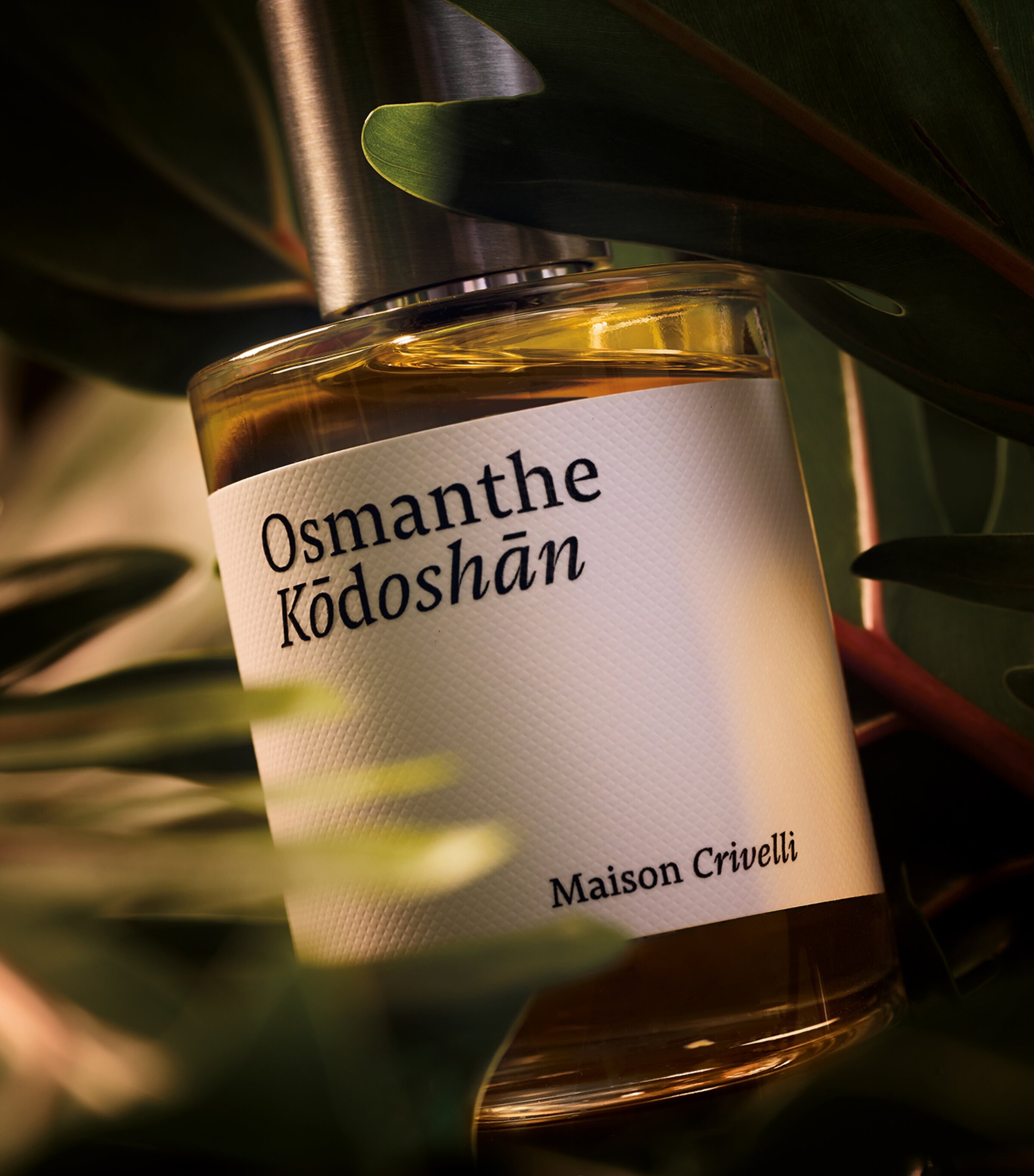 Osmanthe Kodo Eau de Parfum (30ml) NO COLOUR Image 4