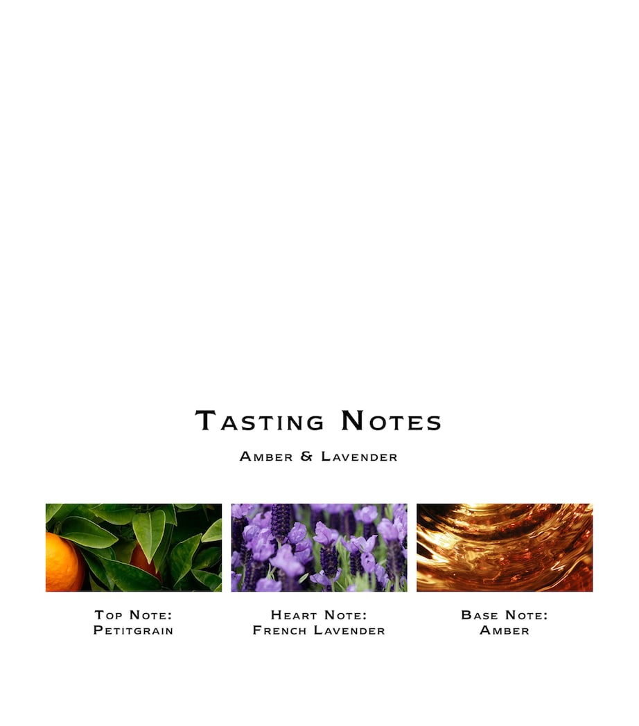 Amber & Lavender Cologne (100ml) NO COLOUR Image 2