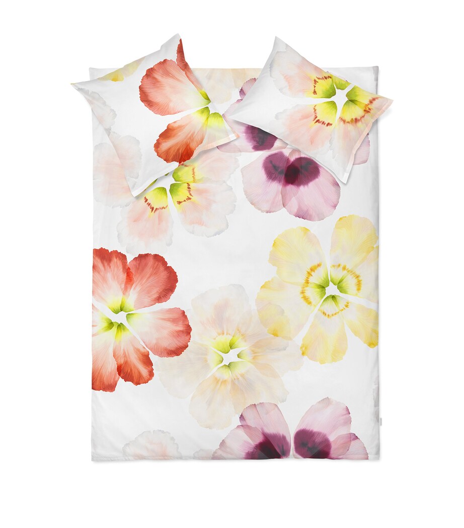 Schlossberg Cotton Sateen Aurora King Oxford Pillowcase (50cm x 90cm) Blanc Image 1