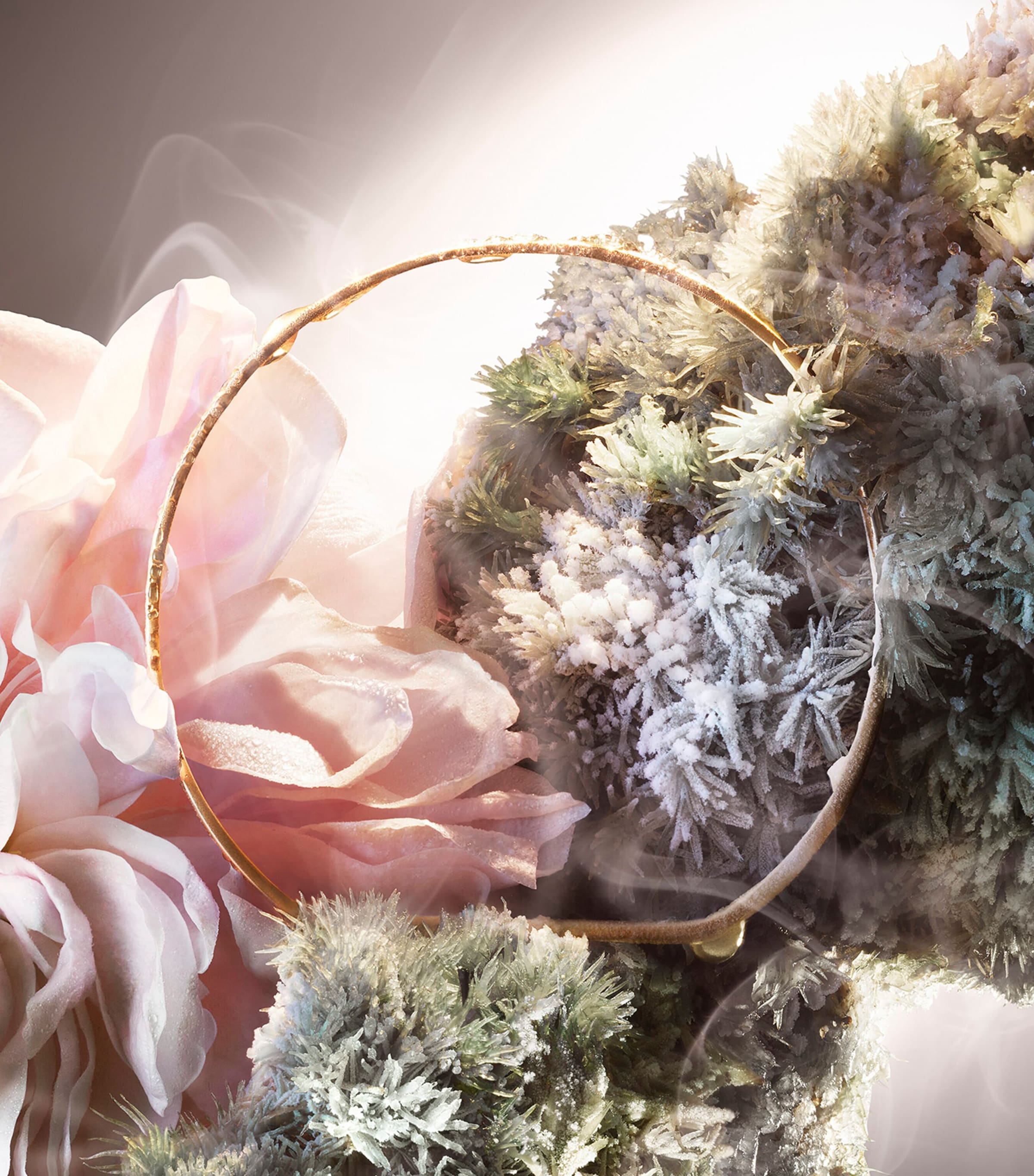 Absolue Not Your Rose Eau de Parfum (100ml) NO COLOUR Image 4