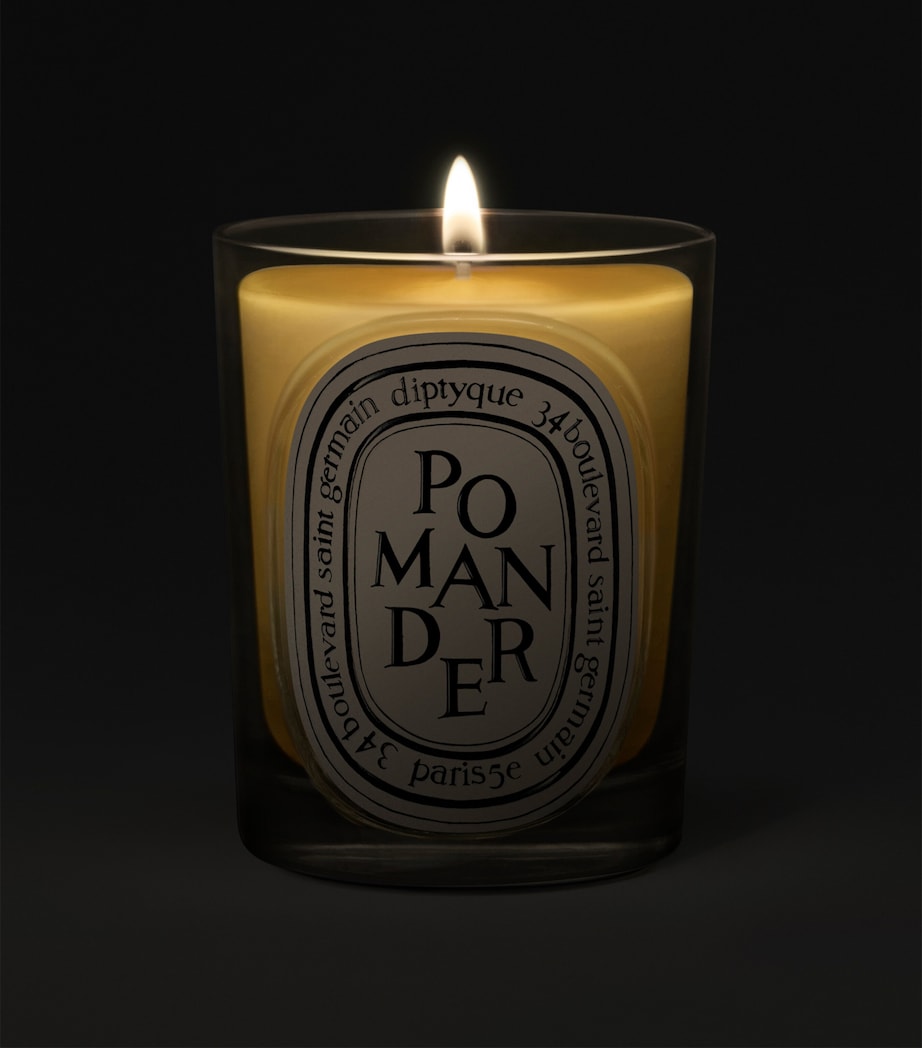 Diptyque Pomander Candle (190g) Image 2