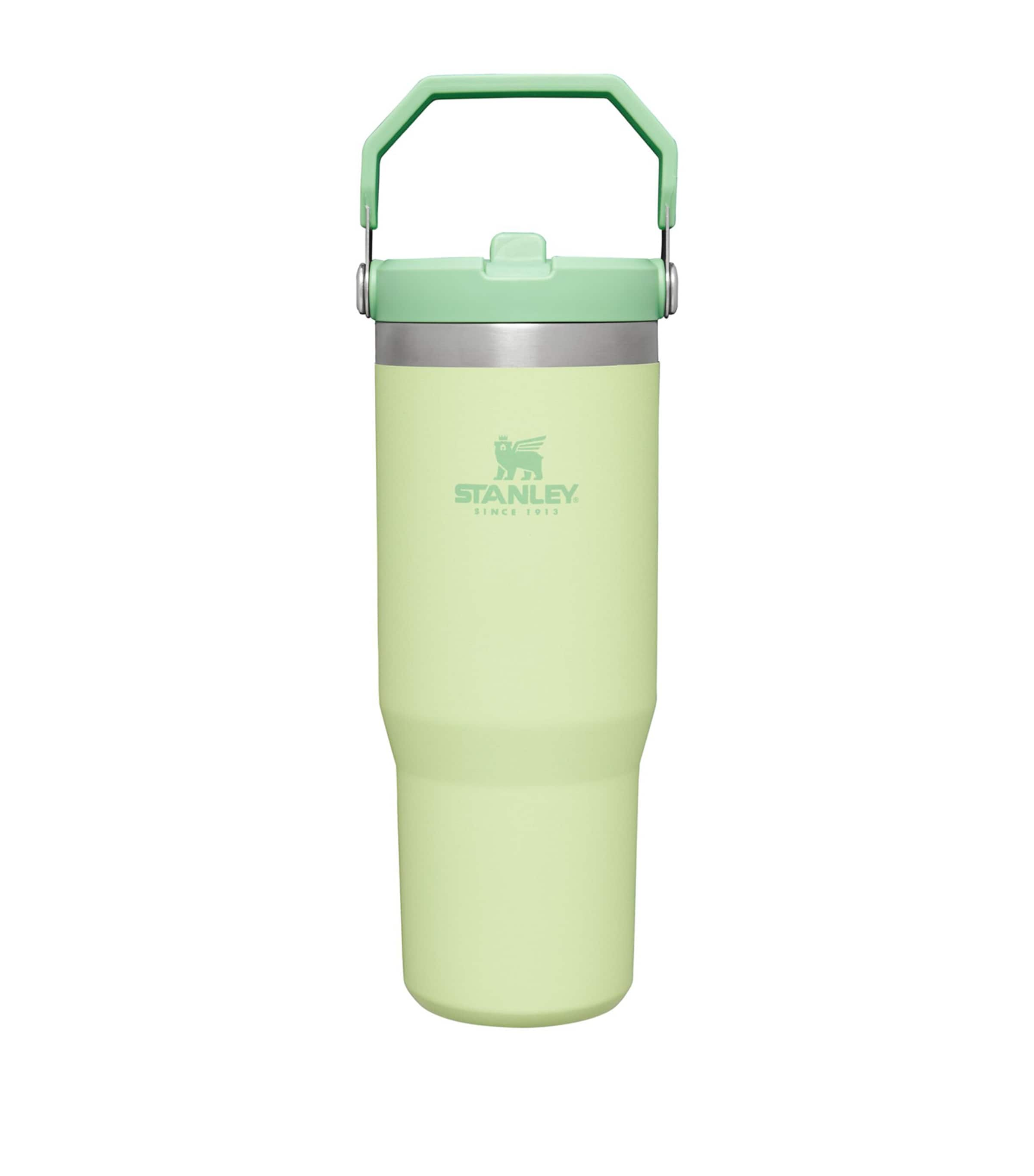 Shop Stanley Iceflow Flip-straw Tumbler In Green