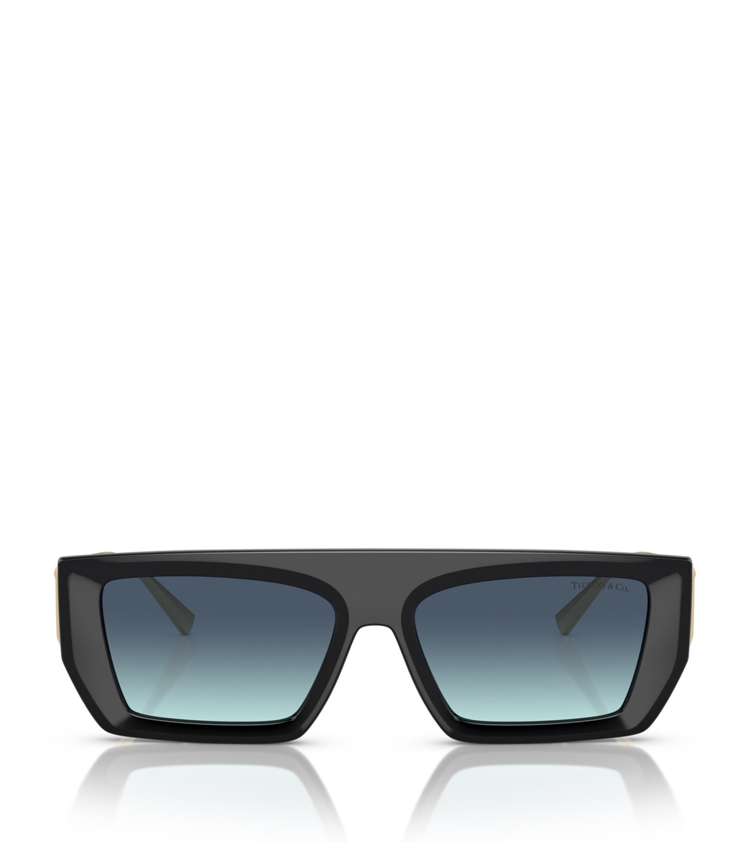 Tiffany & Co. Injected 0TF4214U Sunglasses | Holiday Shop | Womens | Sunglasses | Women Accessories | Designers | Tiffany & Co