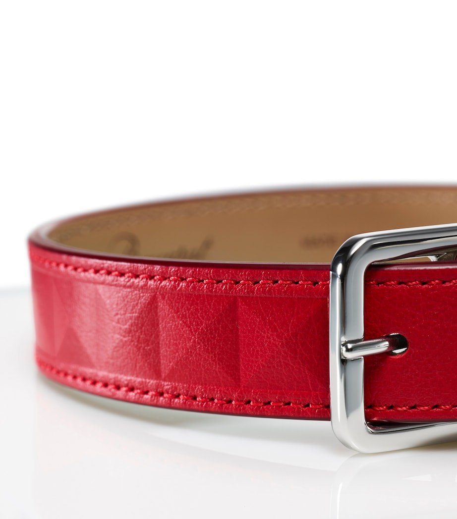 Leather Louxor Pet Collar (Medium) CLEAR Image 4