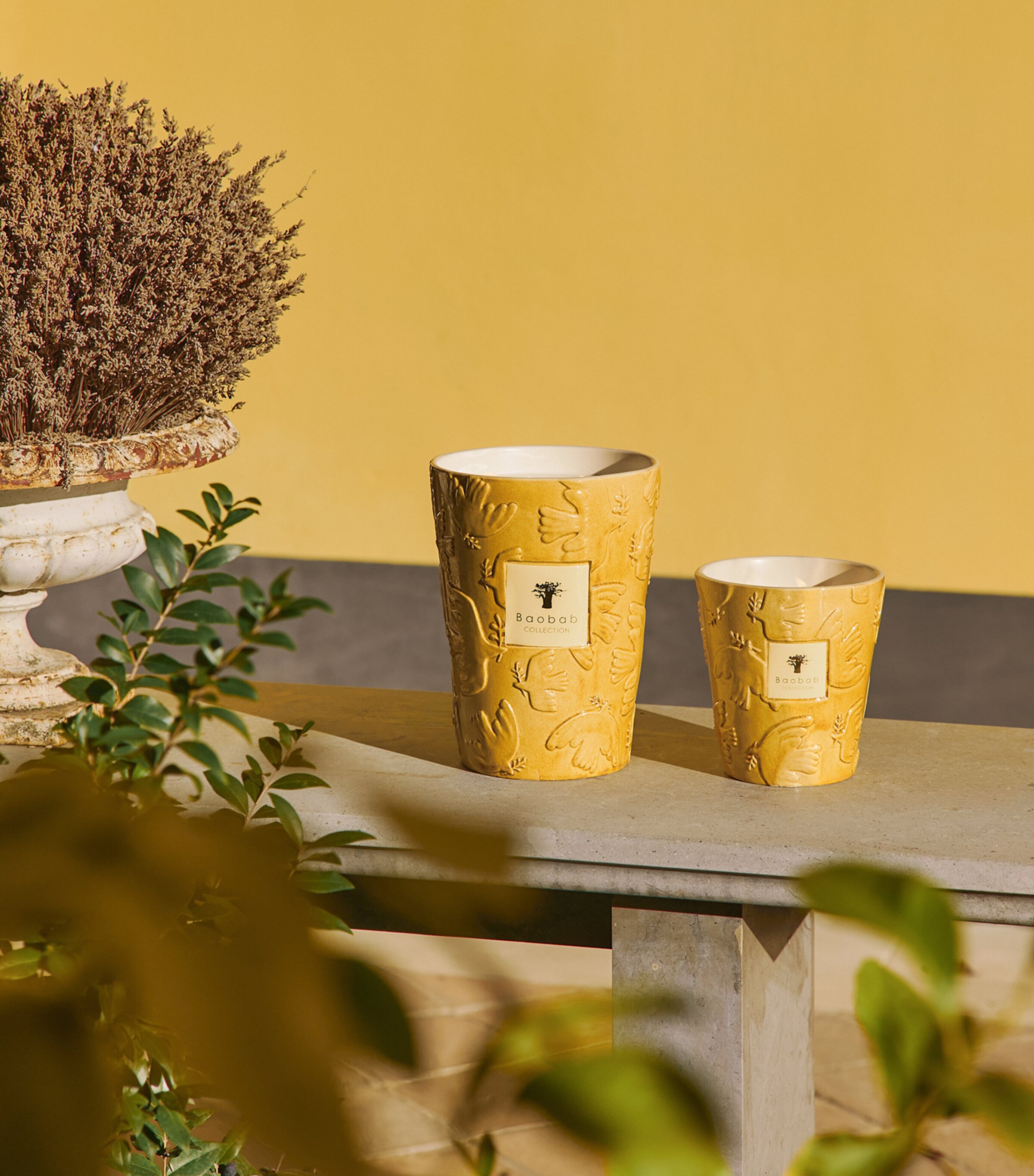 Baobab Collection Dove Scented Candle (6kg) Yellow Image 4