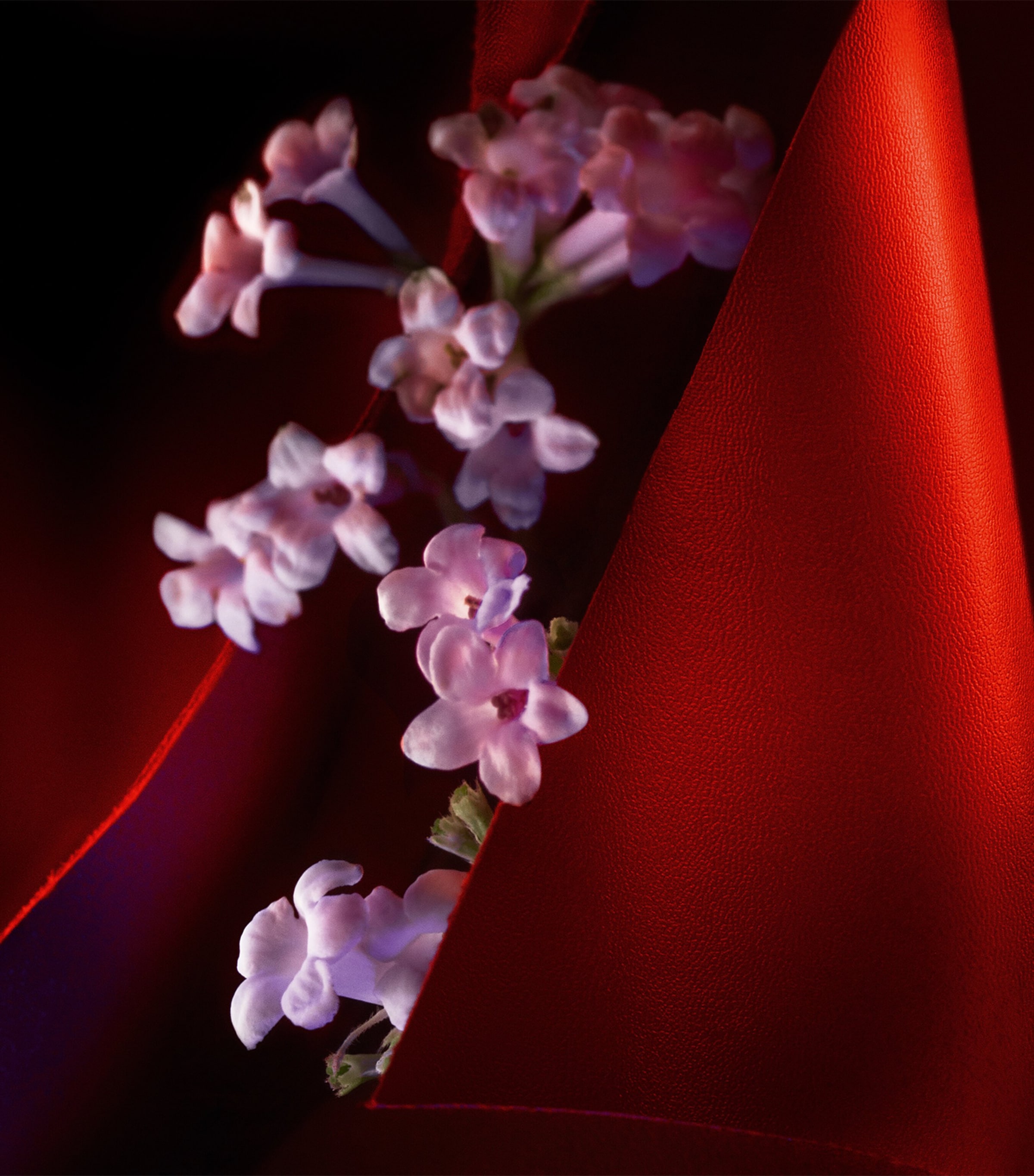 Christian Louboutin Fétiche Le Cuir Eau de Parfum (80ml) | Harrods AE