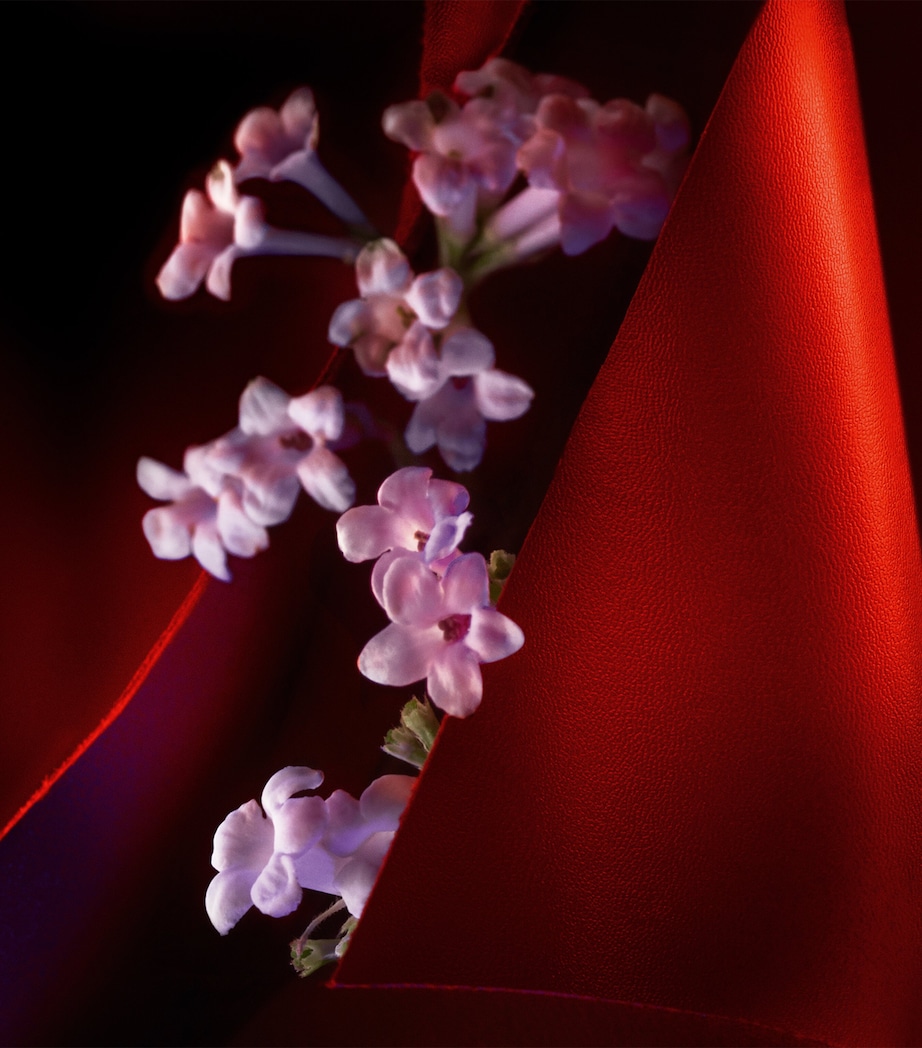 Christian Louboutin Fétiche Le Cuir Eau de Parfum (80ml) Image 3