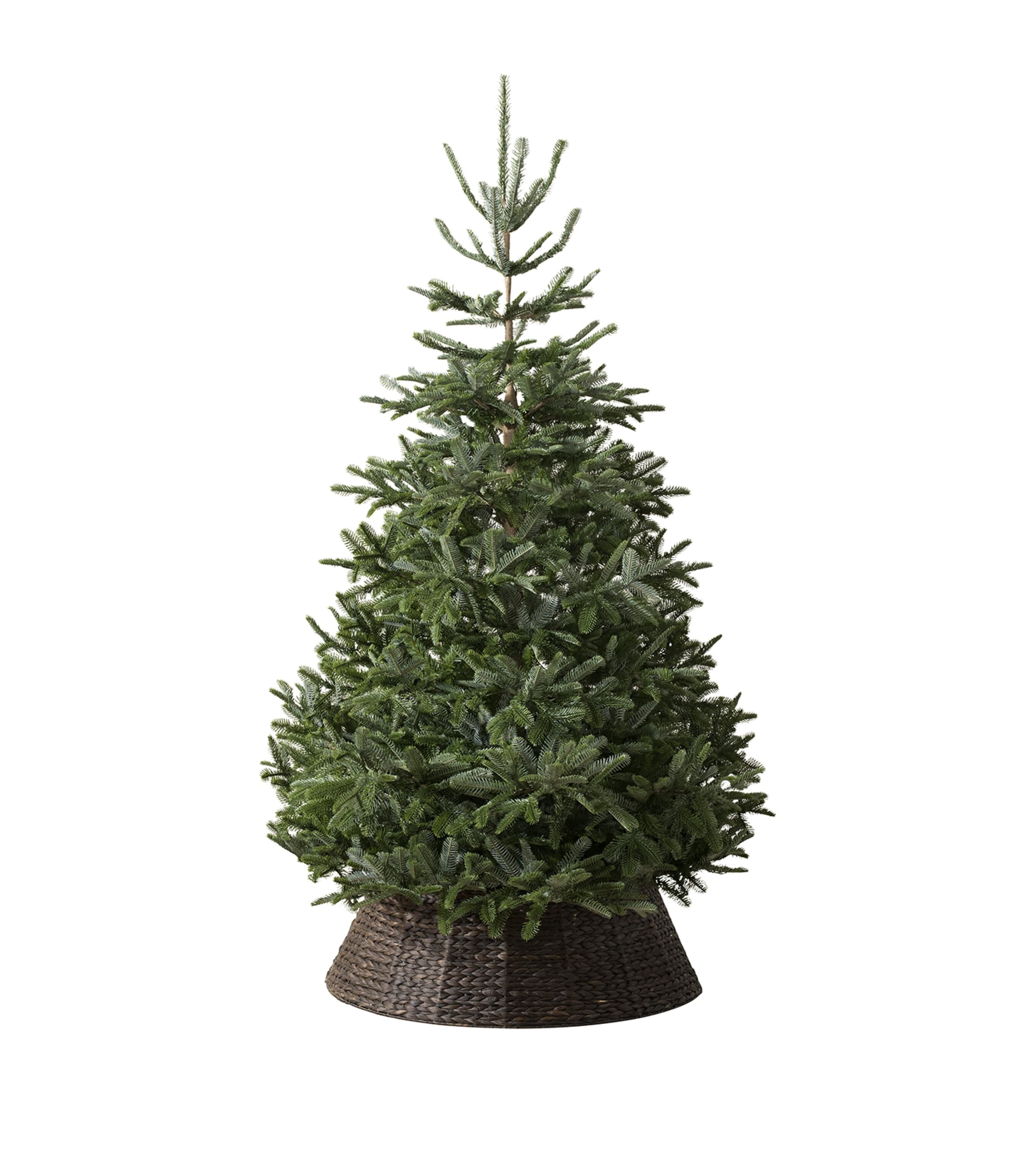 BALSAM HILL Nordmann Fir Unlit Christmas Tree (7ft) Green Image 1