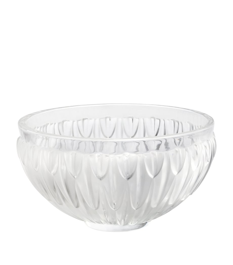Crystal Plumes Bowl (20cm) INCOLORE Image 1
