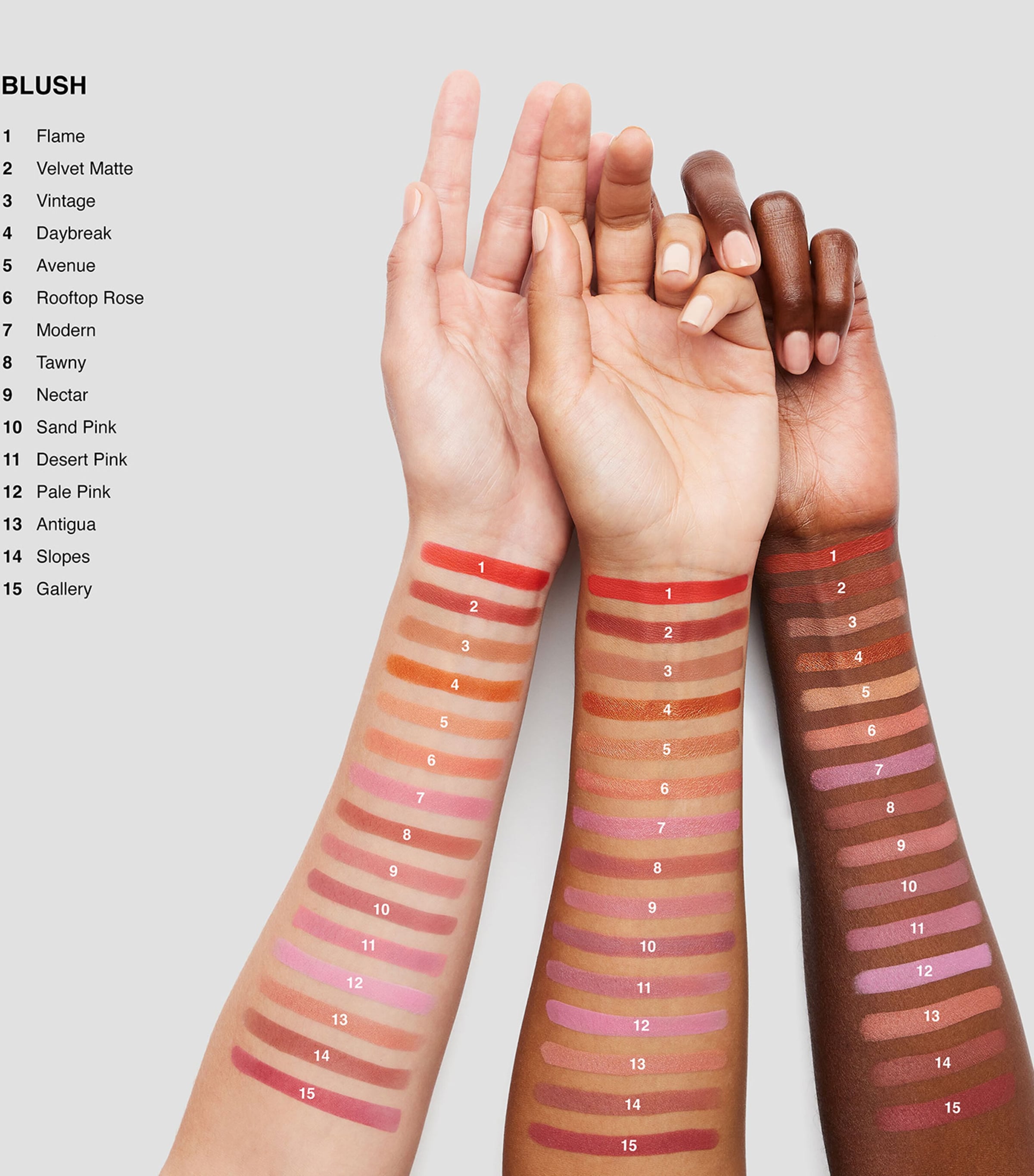 Blush VELVET Image 4