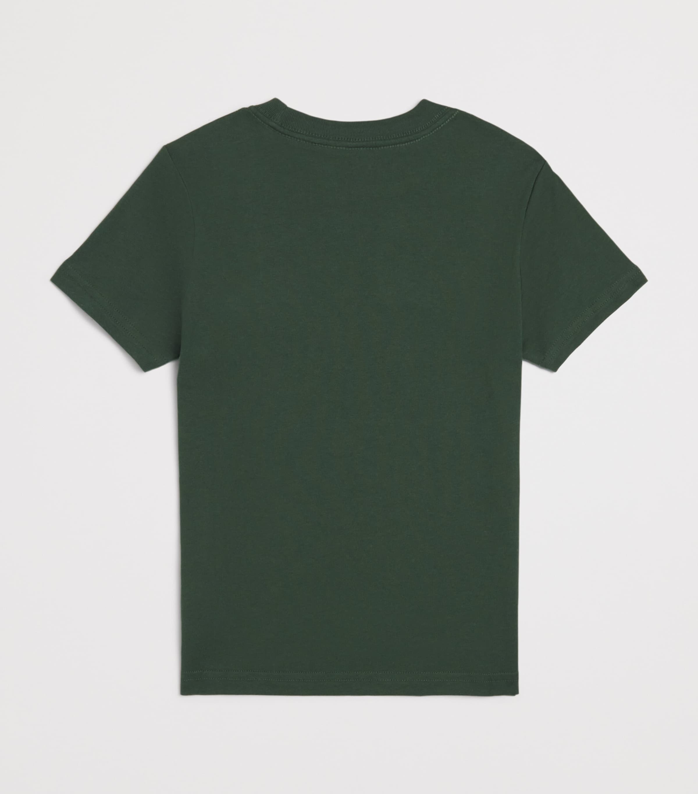Cotton Polo Bear T-Shirt (6-14 Years) GREEN Image 2