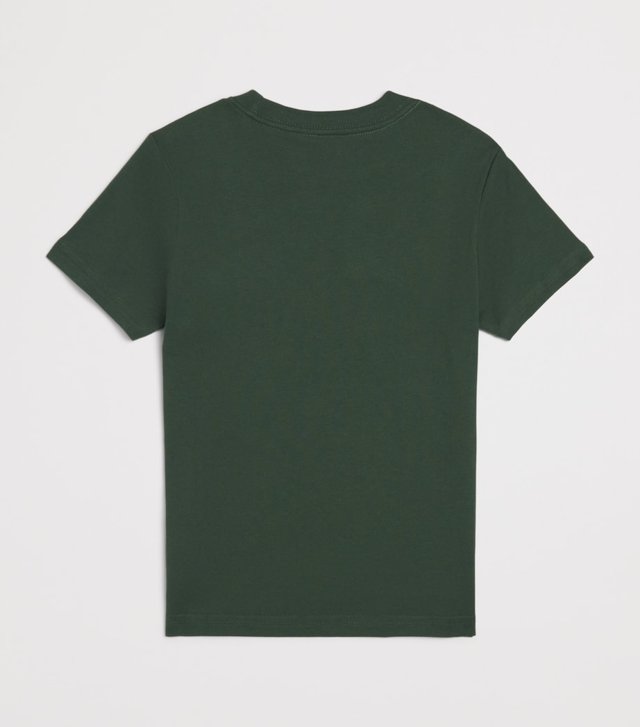 Cotton Polo Bear T-Shirt (6-14 Years) GREEN Image 2