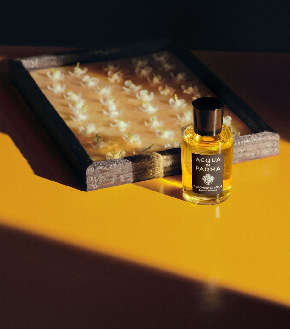 Gelsomino a Freddo Eau de Parfum (50ml) NO COLOUR Image 3