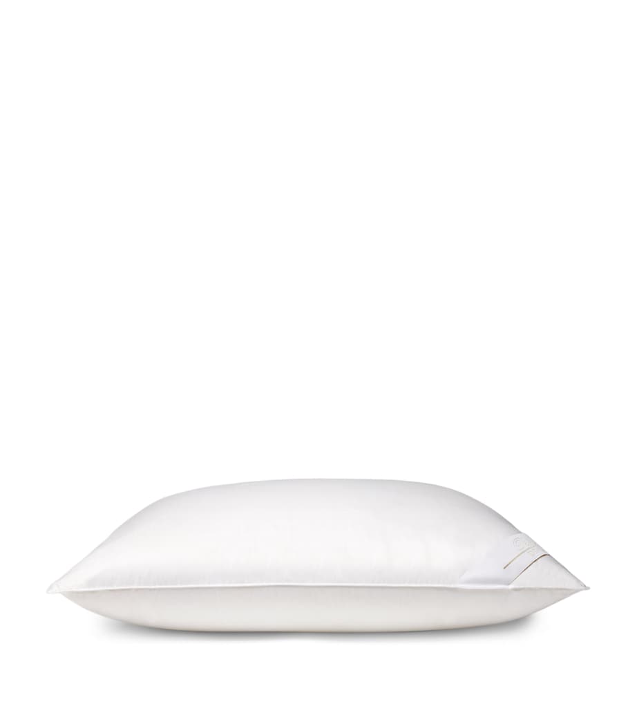 Down Medium Divino Oxford Pillow (50cm x 75cm) NO COLOUR Image 1