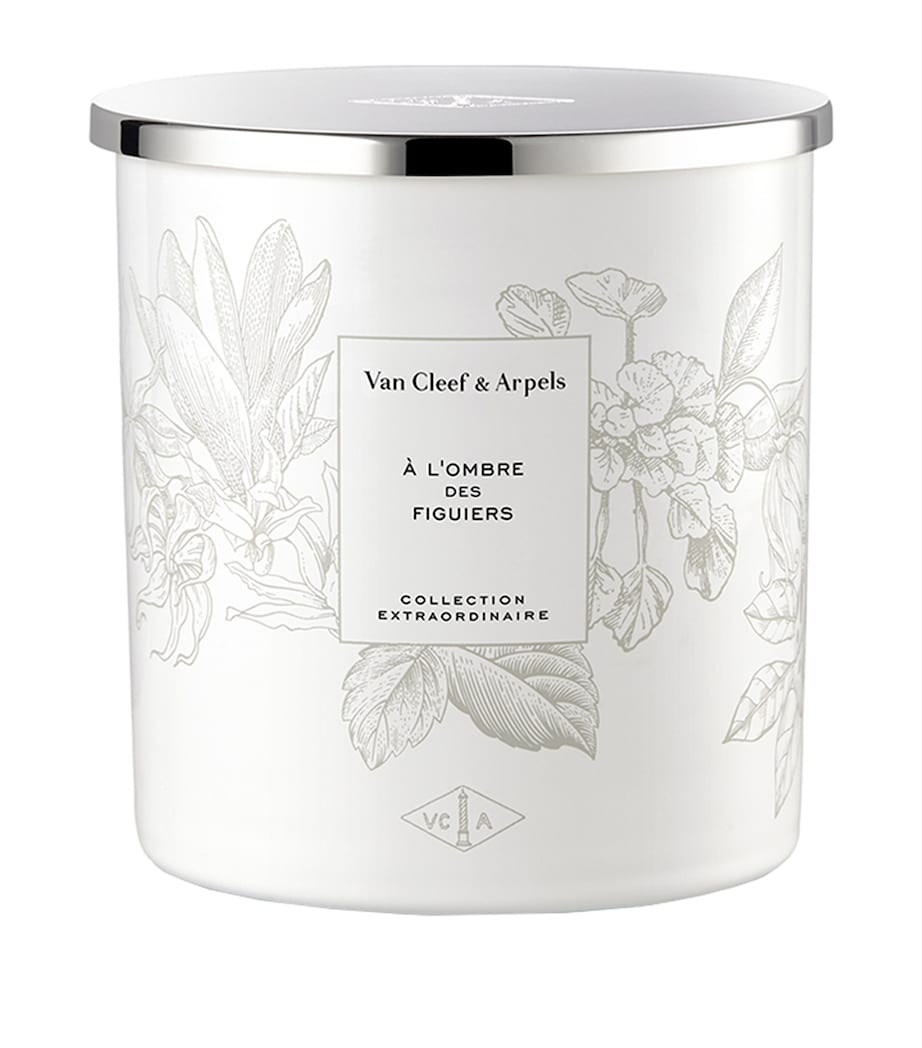 Collection Extraordinaire A l'Ombre des Figuiers Candle (240g) NO COLOUR Image 1