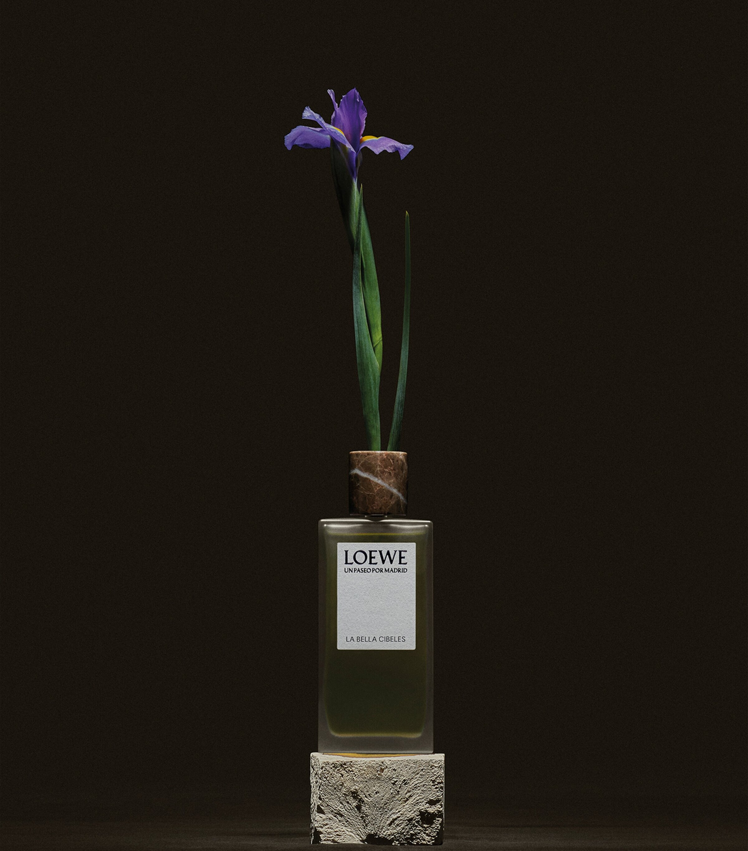 LOEWE Un Paseo Por Madrid La Bella Cibeles Eau de Parfum