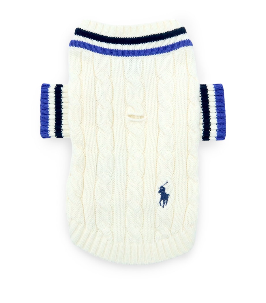 Cotton Cricket Dog Sweater (Extra Small) ANDOVER CREAM Image 2
