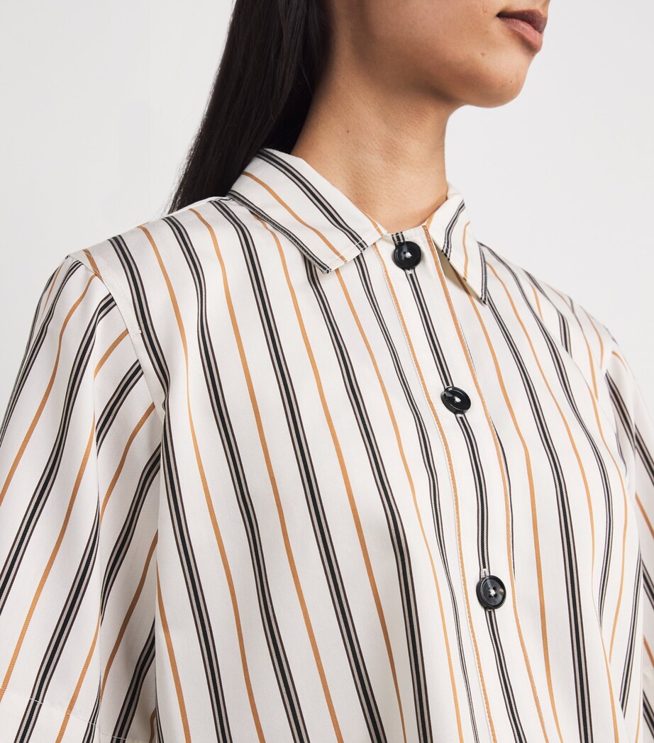 Twill Stripe Crop Shirt WHITE/TOBACCO Image 6