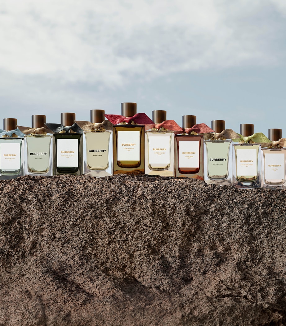 Extreme Botanicals Oud Storm Eau de Parfum (100ml) NO COLOUR Image 7