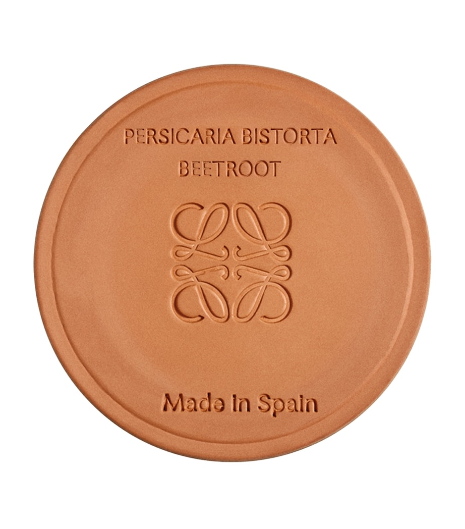 Small Beetroot Scented Candle NO COLOUR Image 4