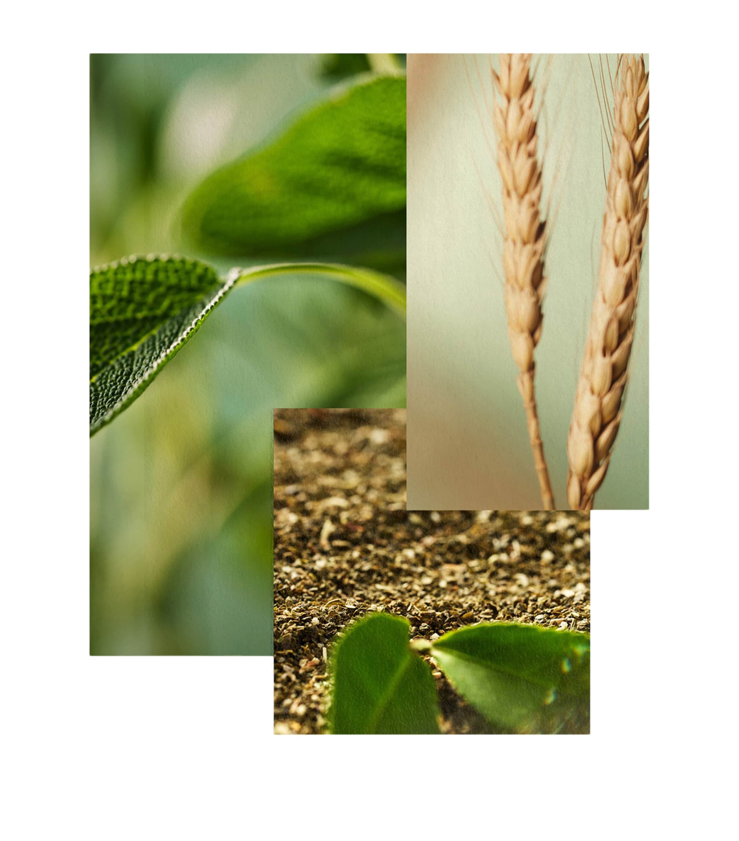 Hydrate Hair Conditioner (266ml) NO COLOUR Image 3