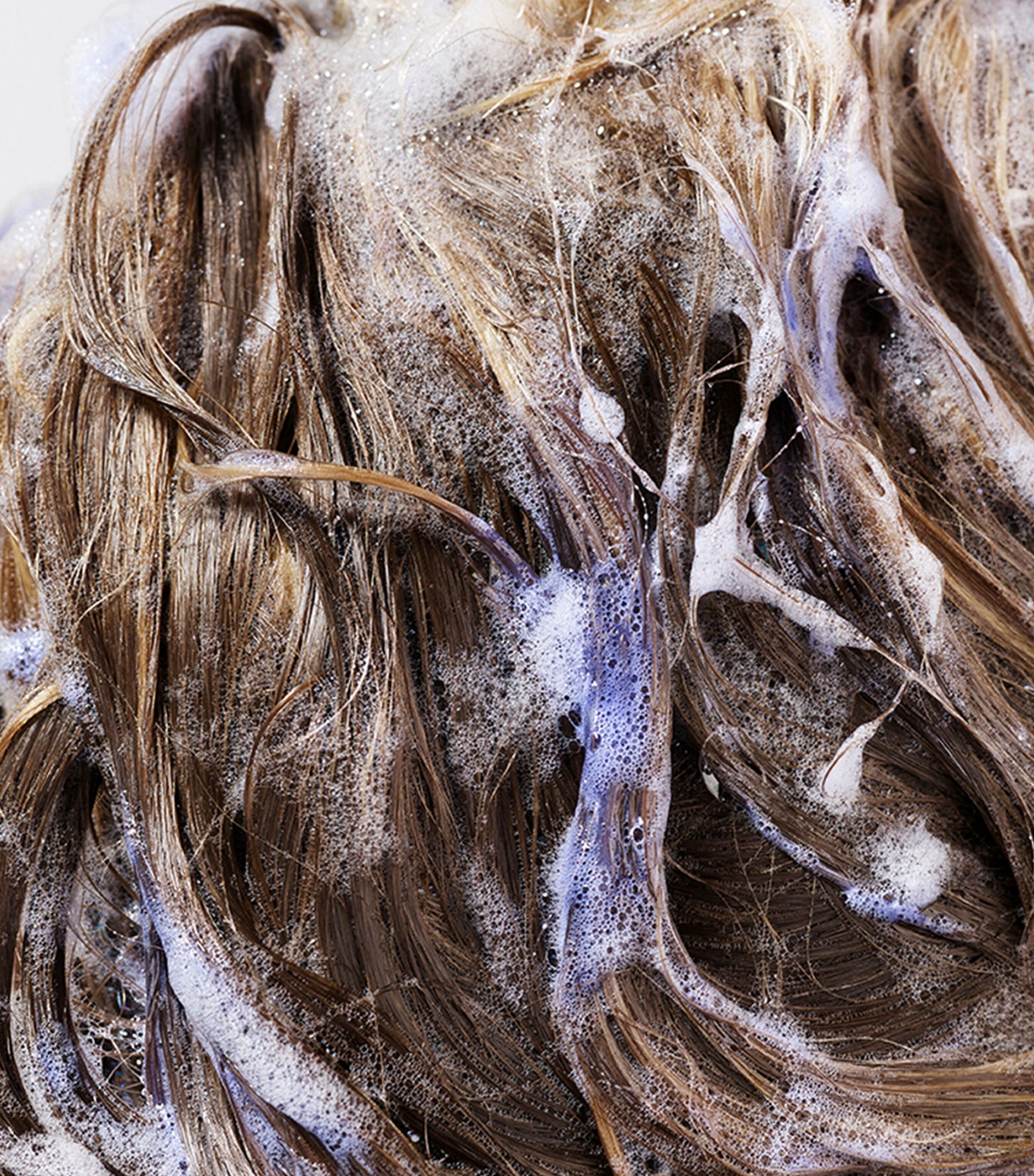 Bright Blonde Travel Size Shampoo (75ml) NO COLOUR Image 4