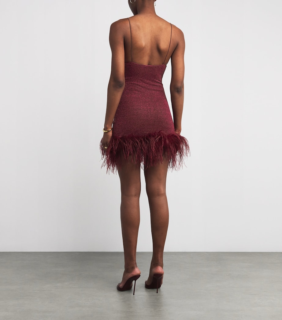 Lumière Feather Mini Dress BURGUNDY Image 3