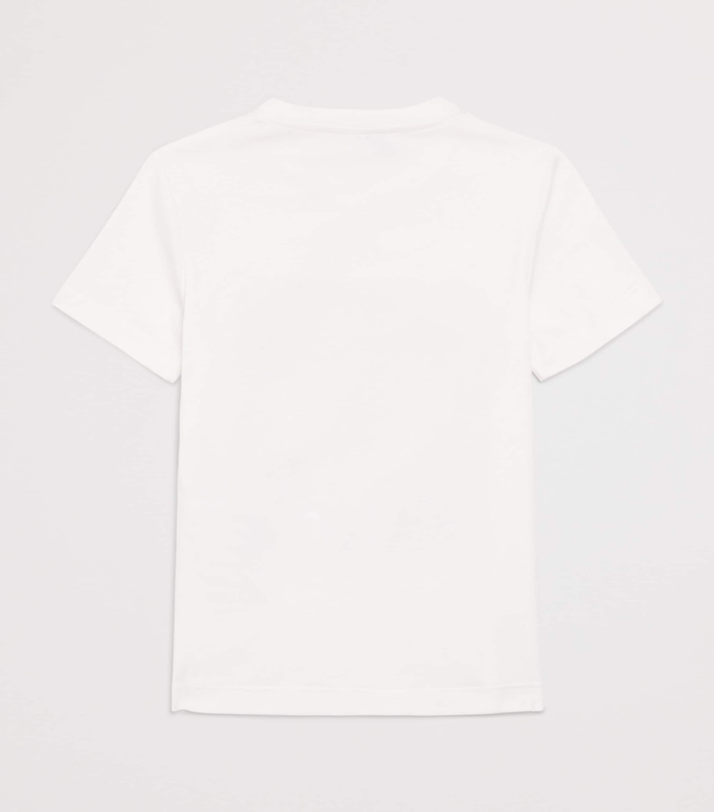 Cotton Tropical Logo Print T-Shirt (4-14 Years) WHITE Image 2