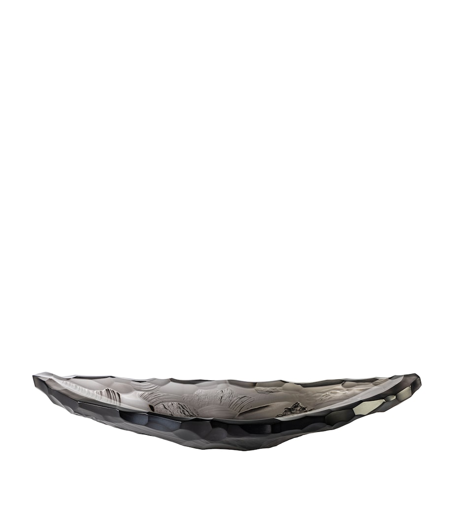 Medium Crystal Silex Bowl (46cm) GRIS Image 2