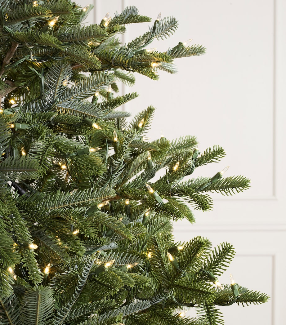 BH Nordmann Fir Clear LED Green Tree (8ft) GREEN Image 2