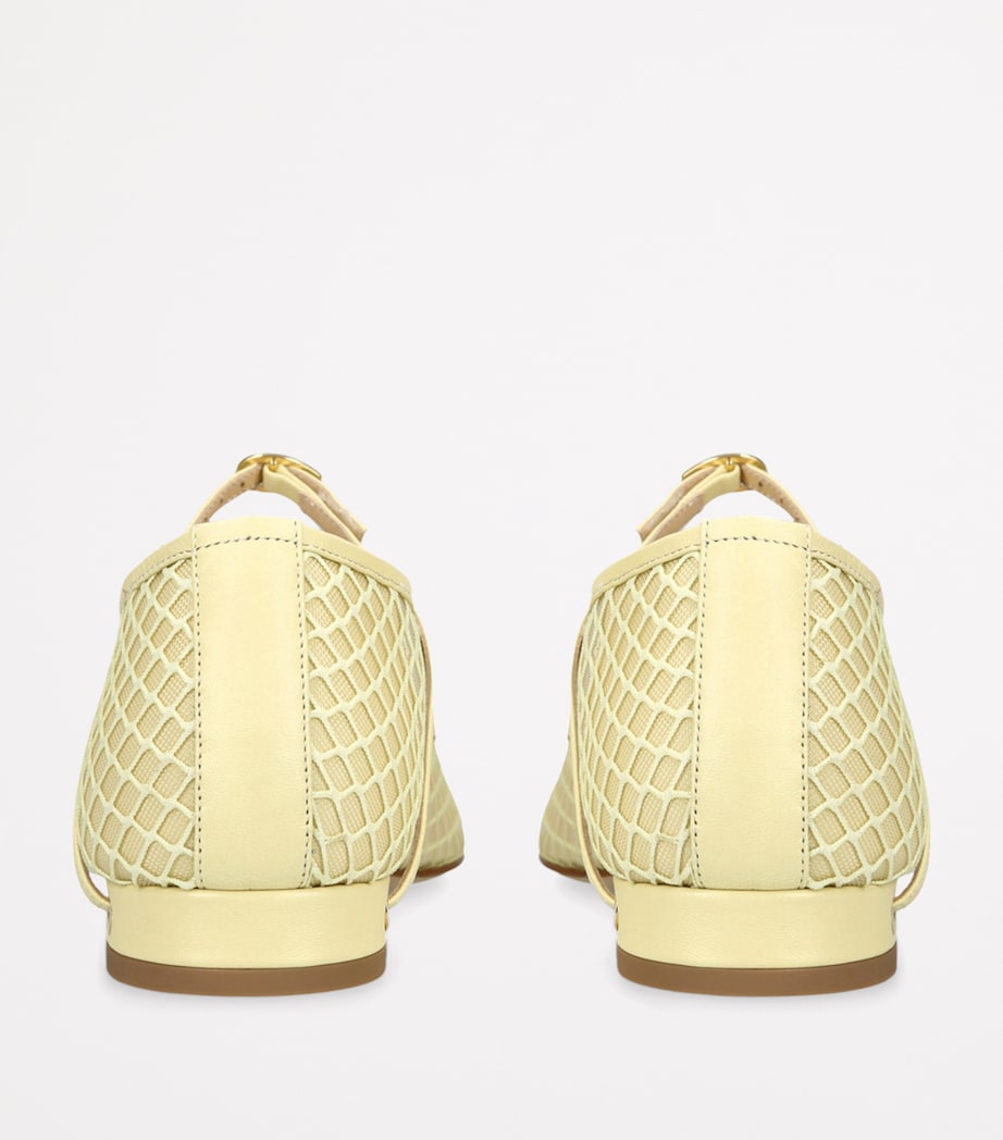 Mesh Paolo Ballet Flats YELLOW Image 2