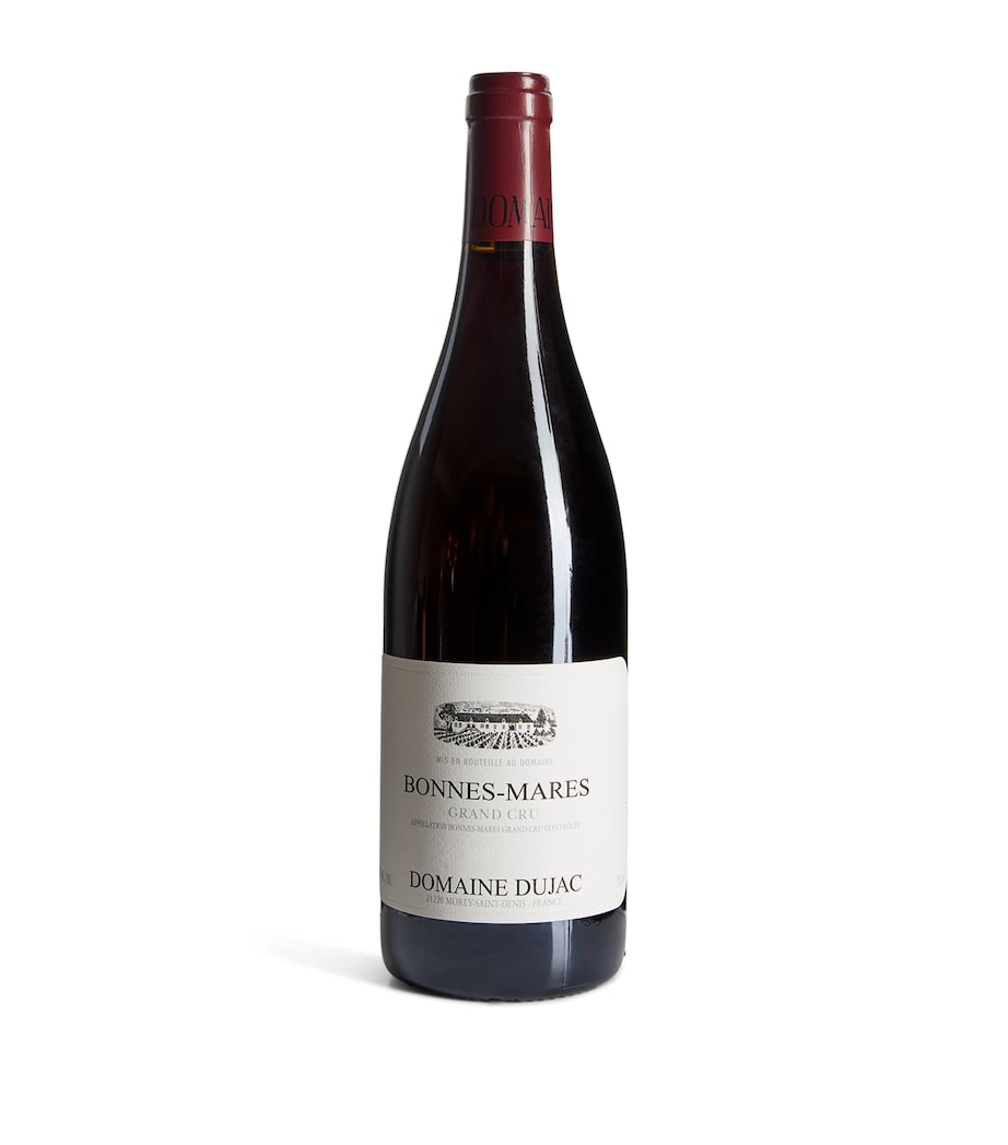Domaine Dujac Grand Cru Pinot Noir 2019 (75cl) - Burgundy, France Image 1