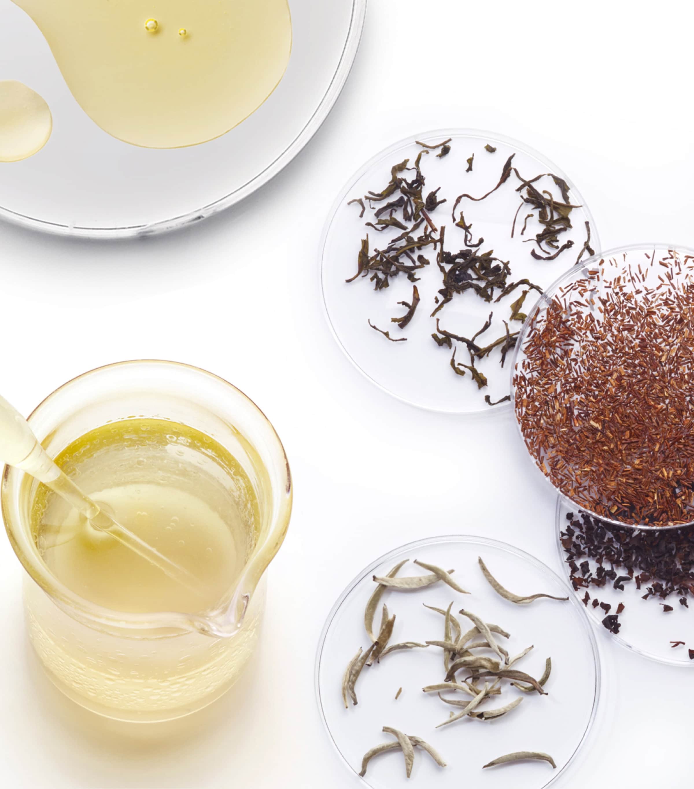 The Absolute Intense Renewal Serum Refill (30 x 0.5ml) NO COLOUR Image 3