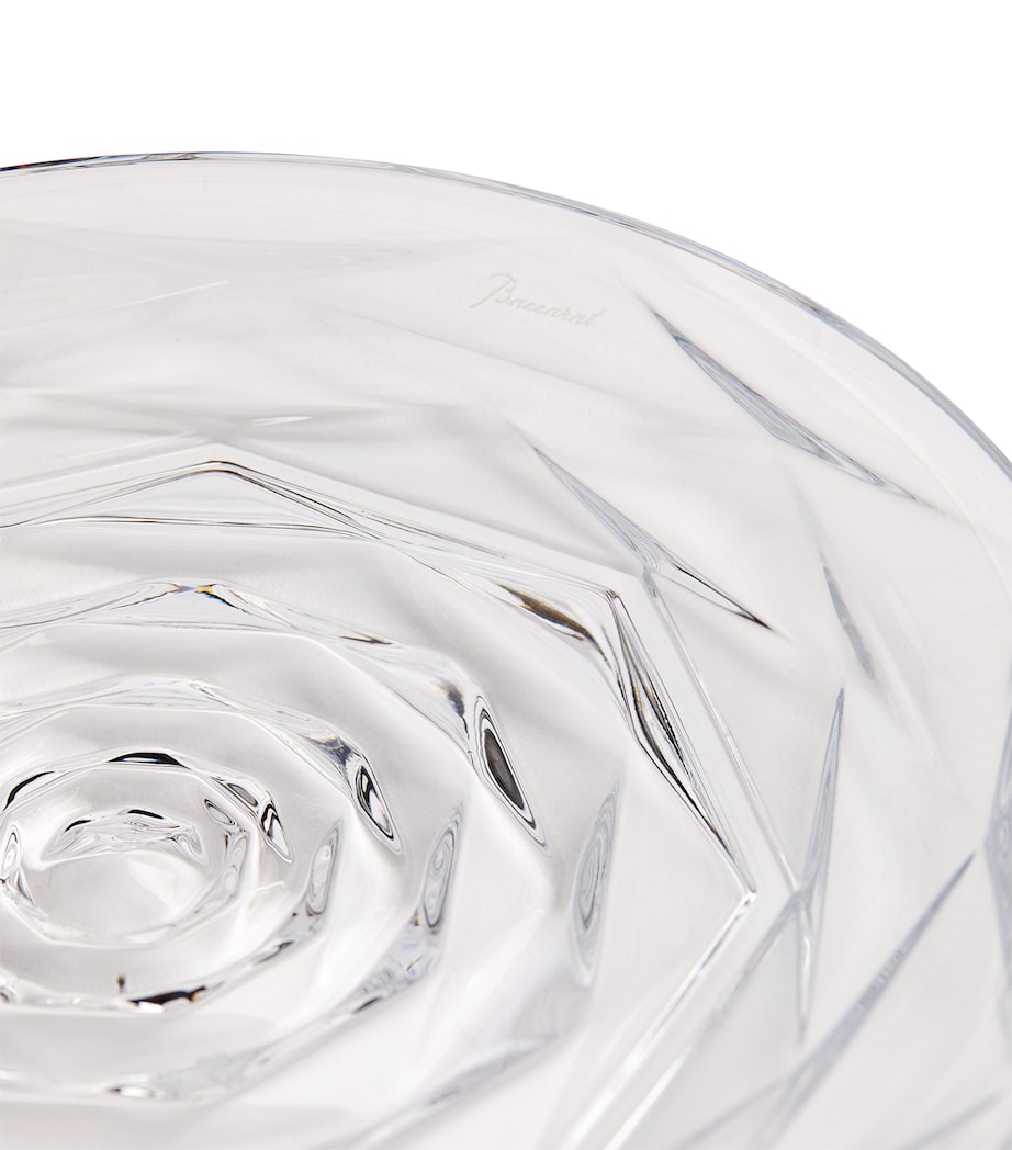 Swing Plate (13cm) CLEAR Image 4