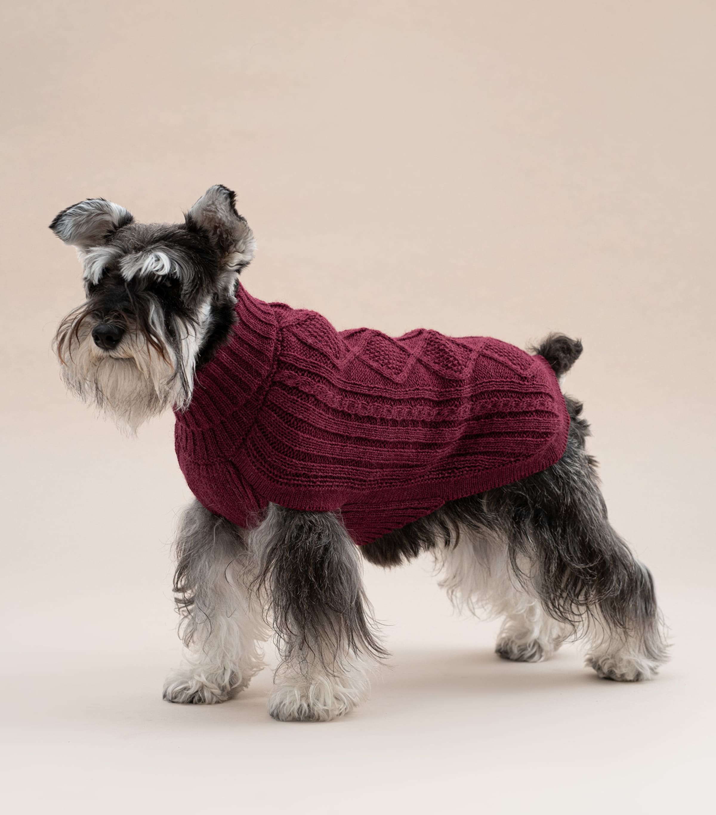 ALQO WASI Alpaca-Blend Aran Knit Dog Sweater (Medium) Red Wine Image 4